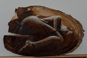 I cerchi della vita