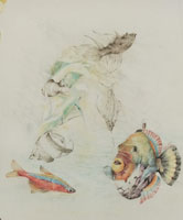 disegno 5