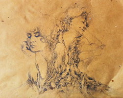 disegno 6